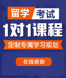 操你小穴啊啊啊好爽视频在线观看留学考试一对一精品课